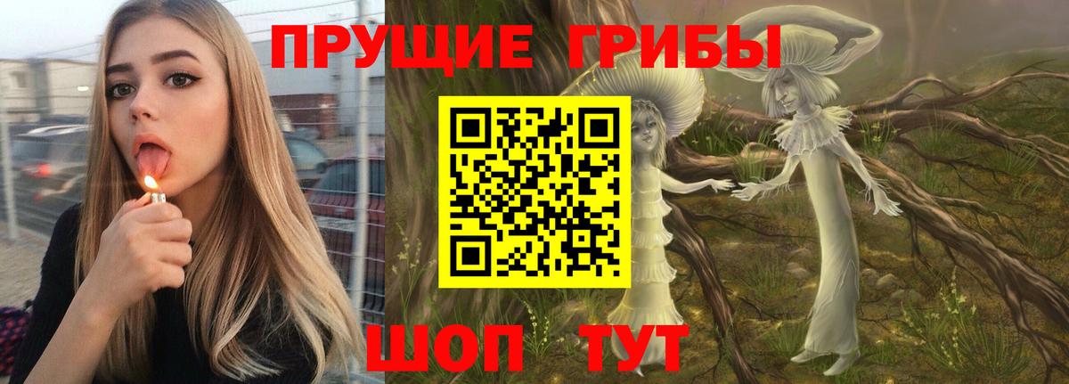 Галлюциногенные грибы GOLDEN TEACHER Зима