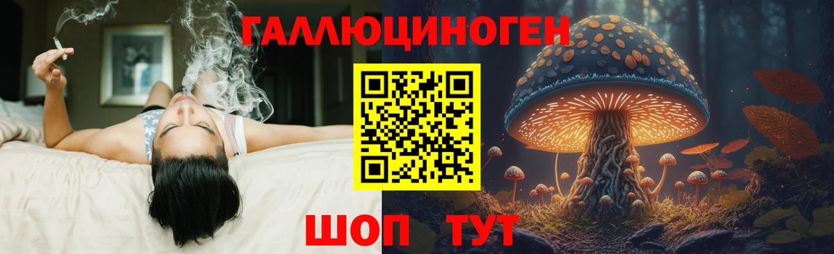 Галлюциногенные грибы MAGIC MUSHROOMS  Галлюциногенные грибы Psilocybine cubensis  Вход с VPN  Зима 